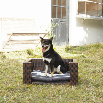 Teamson Pets Rattan Dog or Cat Bed & Cushion